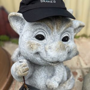 Gorra "Entreno con dragones" negro